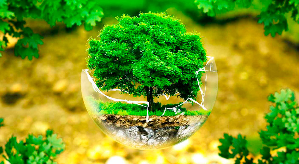 medio-ambiente-1.jpg